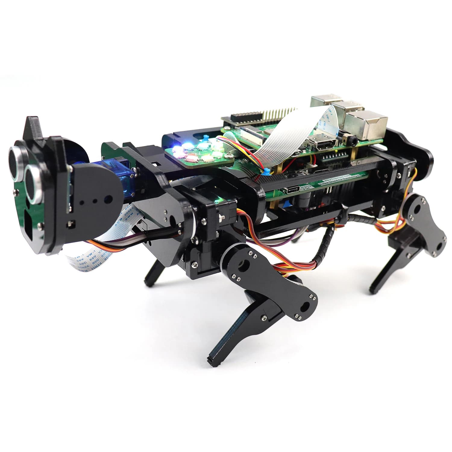 Kit chien robot programmable Freenove pour Raspberry Pi, à monter soi-même